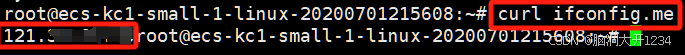 curl 获取公网 IP
