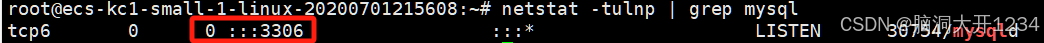 netstat 检查端口