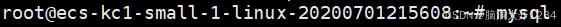 进入 MySQL